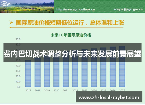 费内巴切战术调整分析与未来发展前景展望