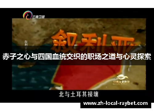 赤子之心与四国血统交织的职场之道与心灵探索