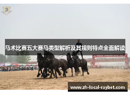 马术比赛五大赛马类型解析及其规则特点全面解读