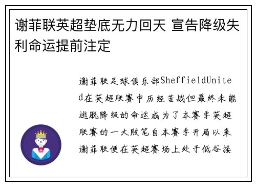 谢菲联英超垫底无力回天 宣告降级失利命运提前注定